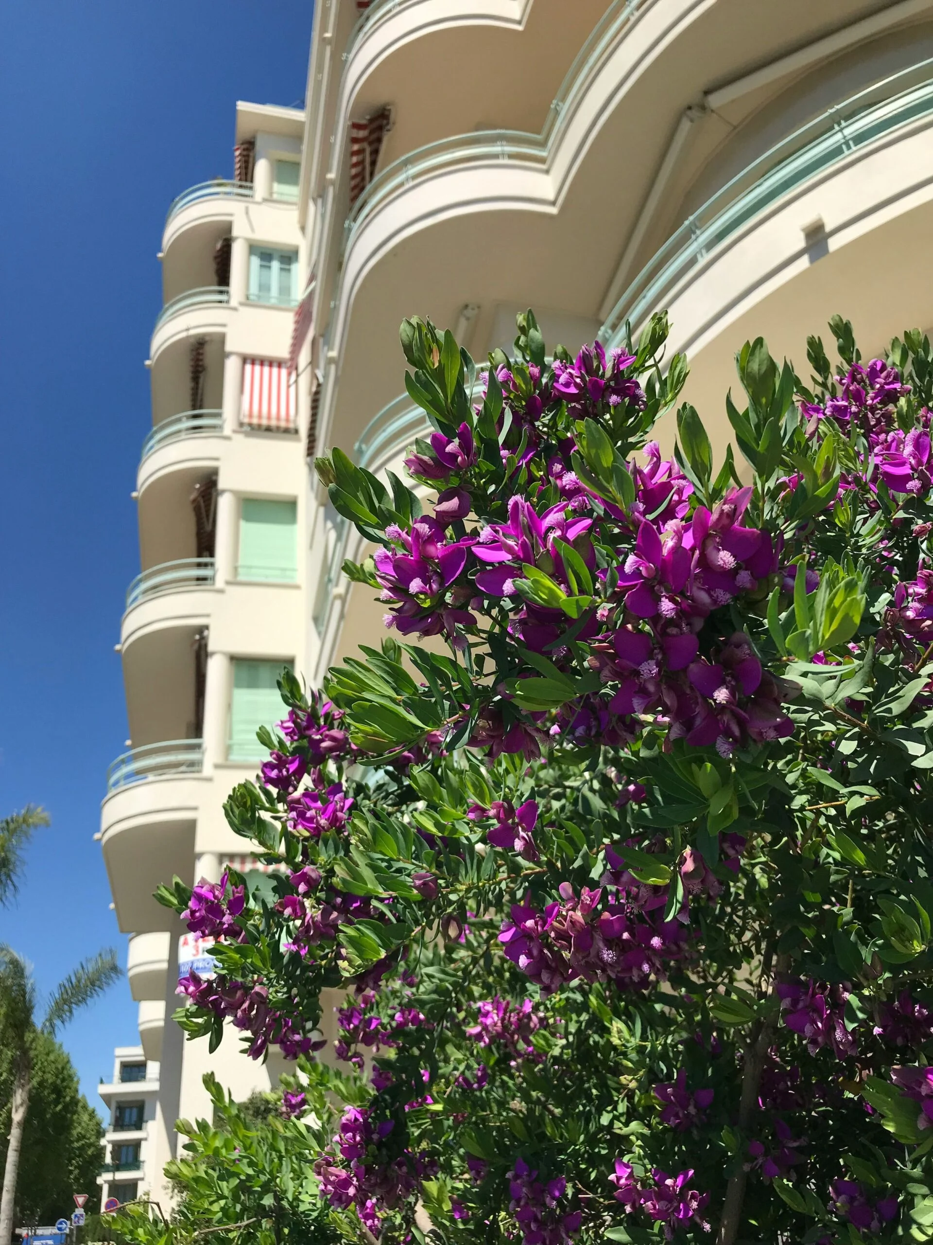 Navigating Property Disputes: The Importance of Expert Real Estate Guidance in Marbella