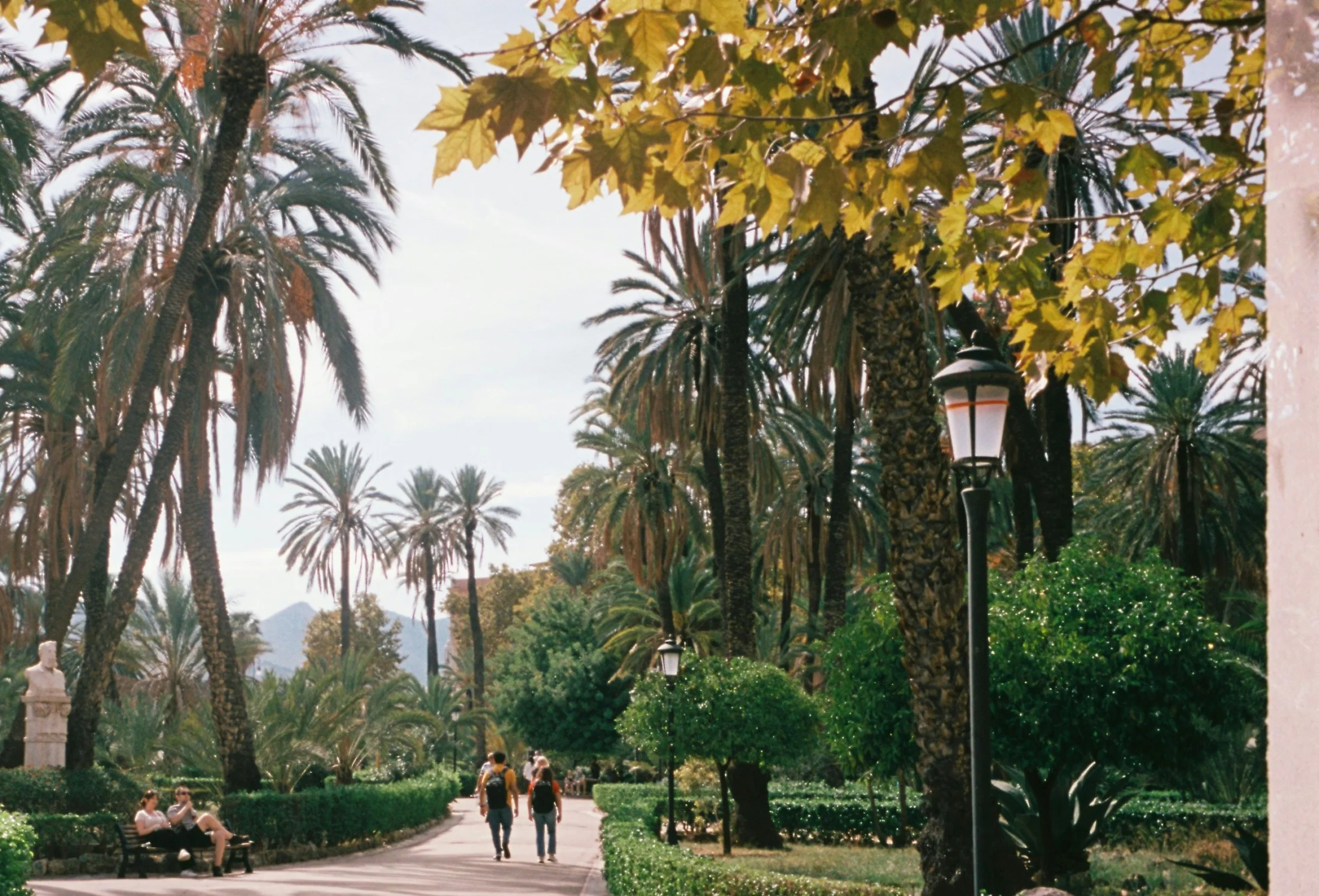The Best Areas to Live in Marbella—Which One Suits You?